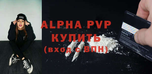 сатива Кинешма