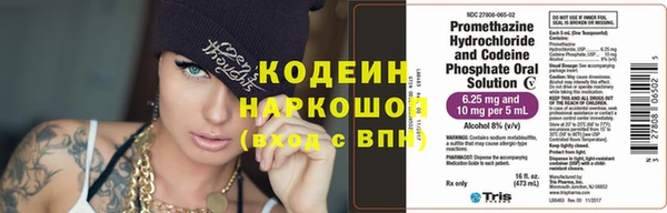 сатива Кинешма