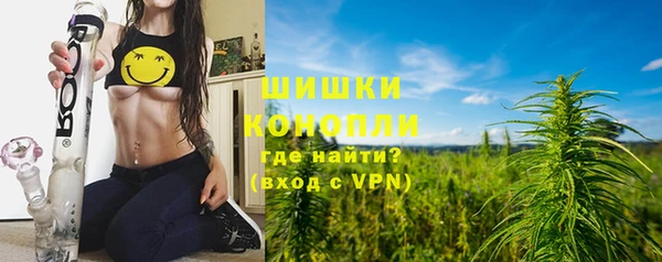 spice Козельск