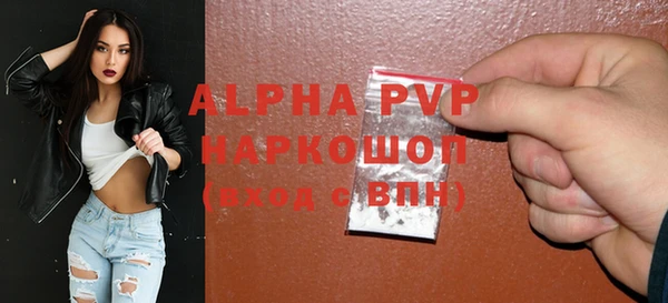 сатива Кинешма
